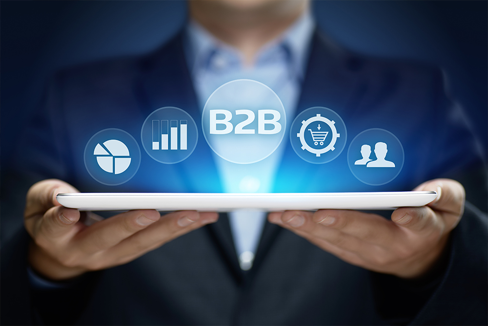 Ecommerce B2B